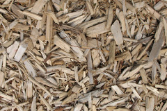 biomass boilers Honeywick